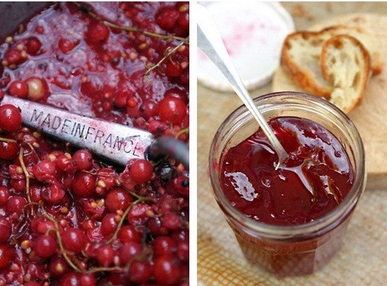 Trồng[-]Ribes[-]rubrum[-](nho[-]đỏ)[-]trị[-]rối[-]loạn[-]tiền[-]mãn[-]kinh